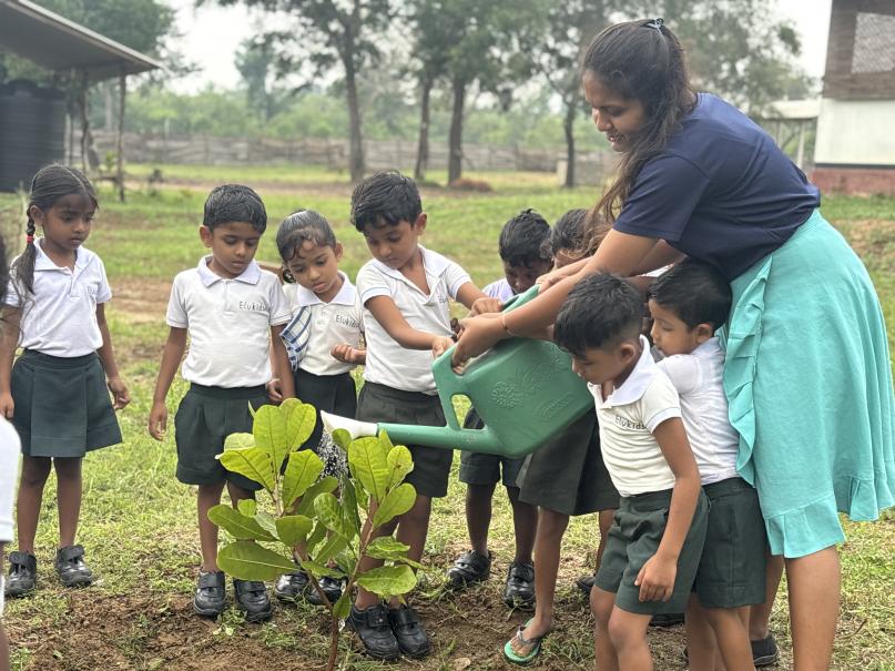 Kinder in Sri Lanka giessen einen Cashew-Baum mit der Lehrerin
