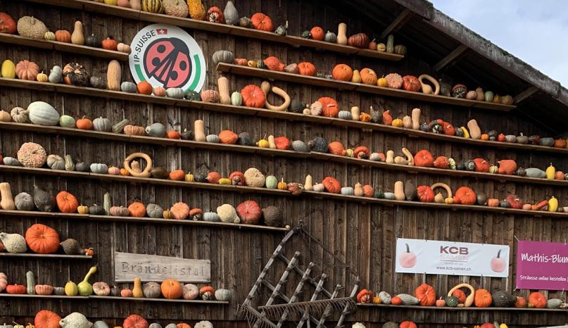 isr-news-herbstabenteuer