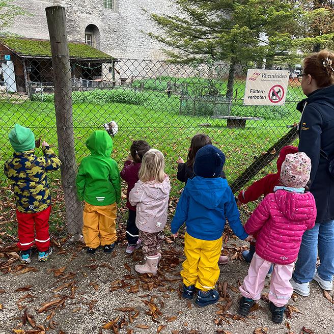 isr-news-herbstabenteuer