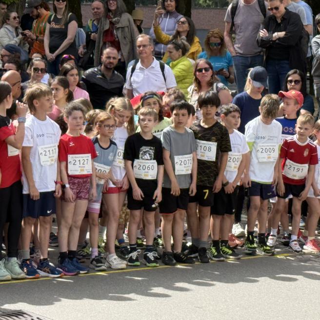 Rheinfelden Stadtlauf